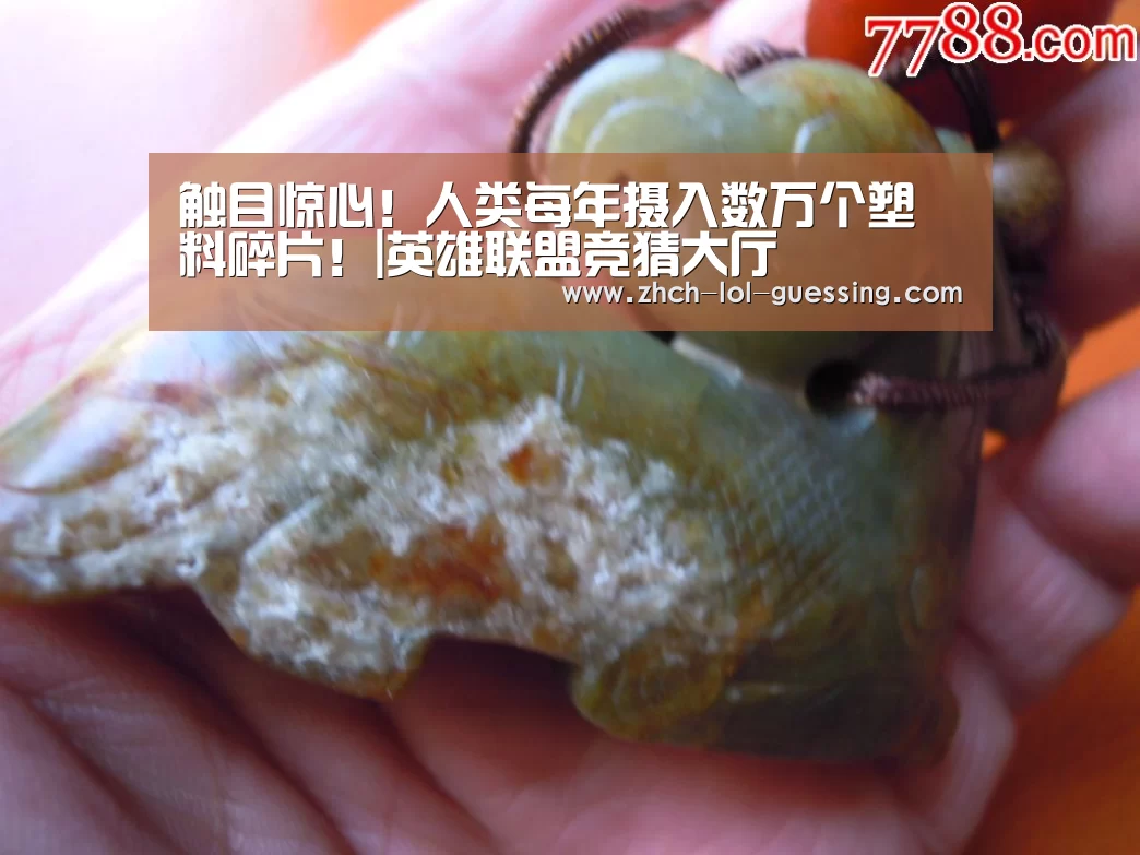 触目惊心！人类每年摄入数万个塑料碎片！|英雄联盟竞猜大厅 