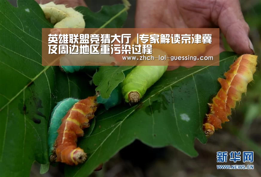英雄联盟竞猜大厅 |专家解读京津冀及周边地区重污染过程(图2) LOL全球总决赛下注官方网站