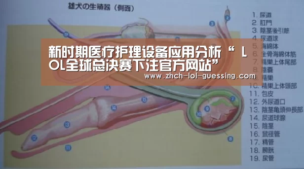 新时期医疗护理设备应用分析“ LOL全球总决赛下注官方网站”
