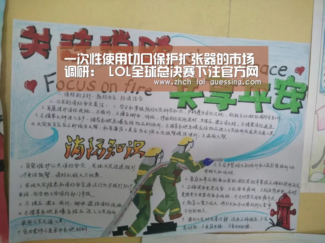 一次性使用切口保护扩张器的市场调研: LOL全球总决赛下注官方网站(图2) LOL全球总决赛下注官方网站