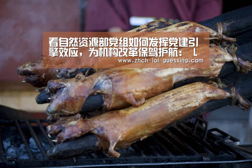 看自然资源部党组如何发挥党建引擎效应,为机构改革保驾护航: LOL全球总决赛下注官方网站(图2) 英雄联盟竞猜大厅