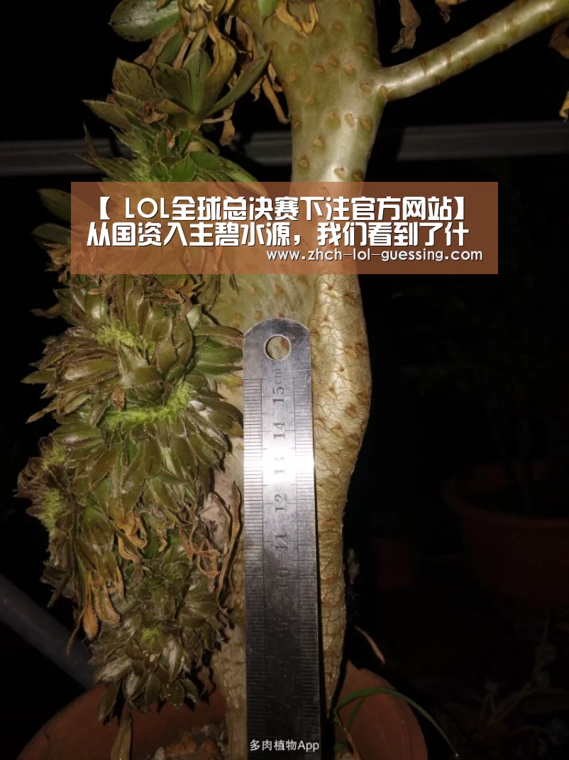 【 LOL全球总决赛下注官方网站】从国资入主碧水源，我们看到了什么？